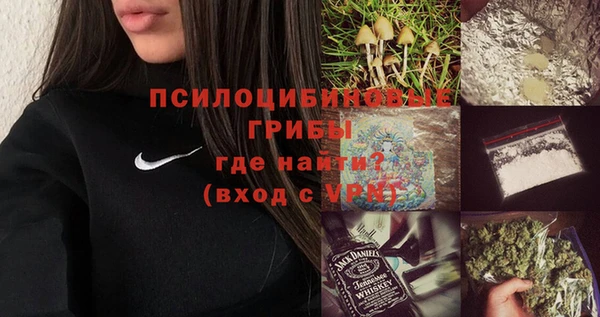 бошки Абаза
