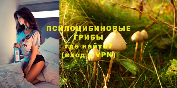 бошки Абаза