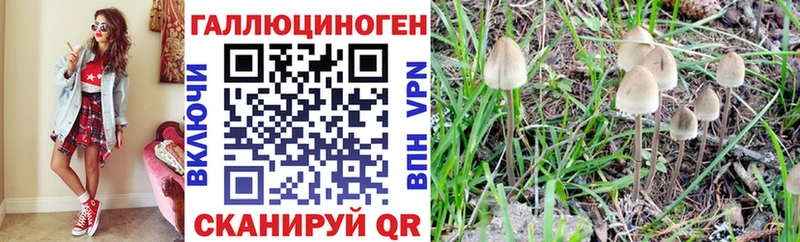 Псилоцибиновые грибы Psilocybine cubensis  Агидель 